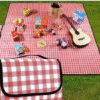 Picnic Mat